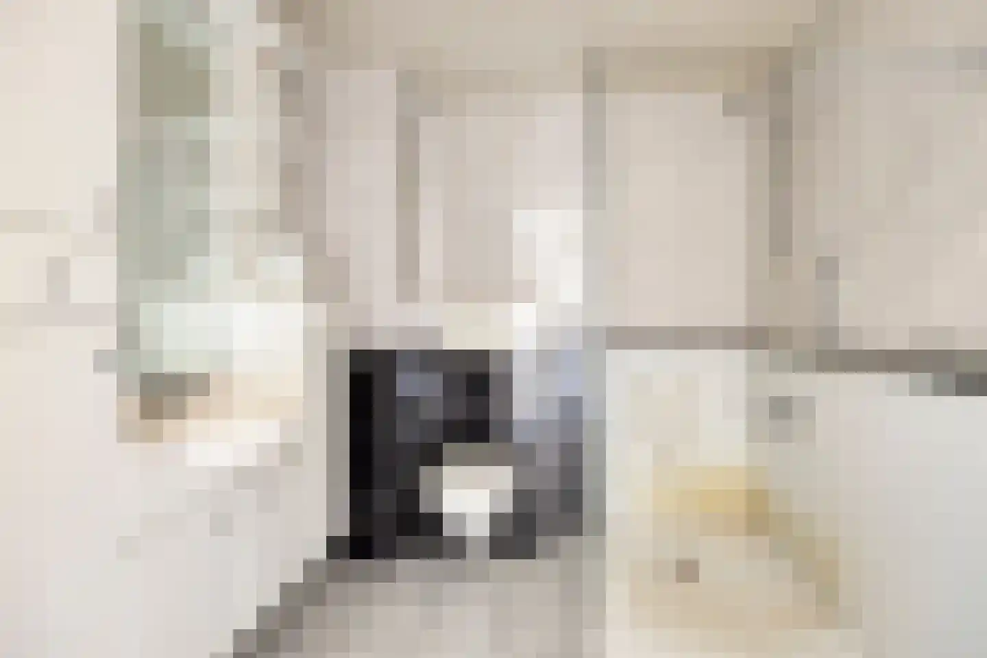 Berghemseweg 220 Oss thumbnail 18