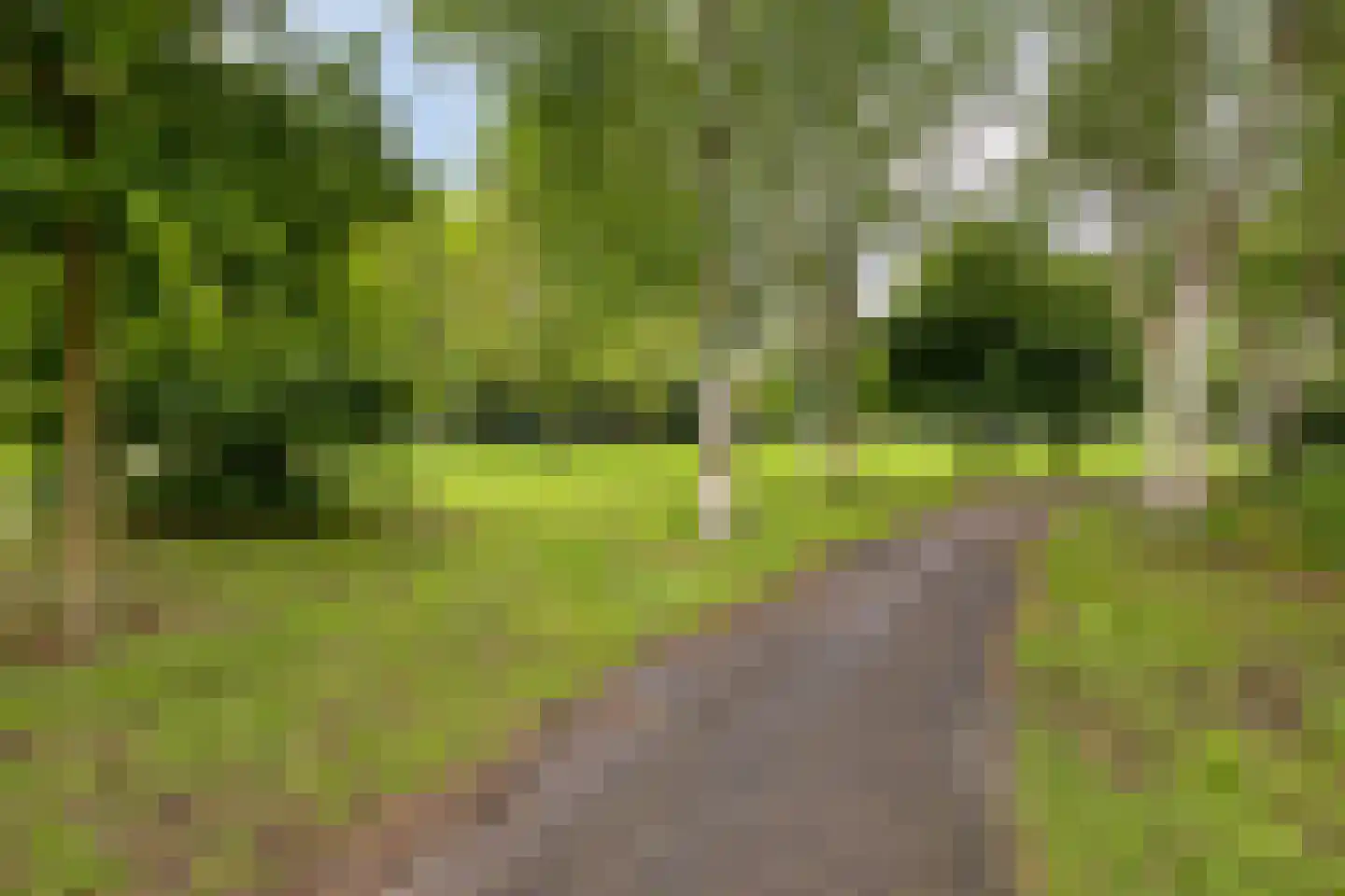 Berghemseweg 220 Oss thumbnail 27