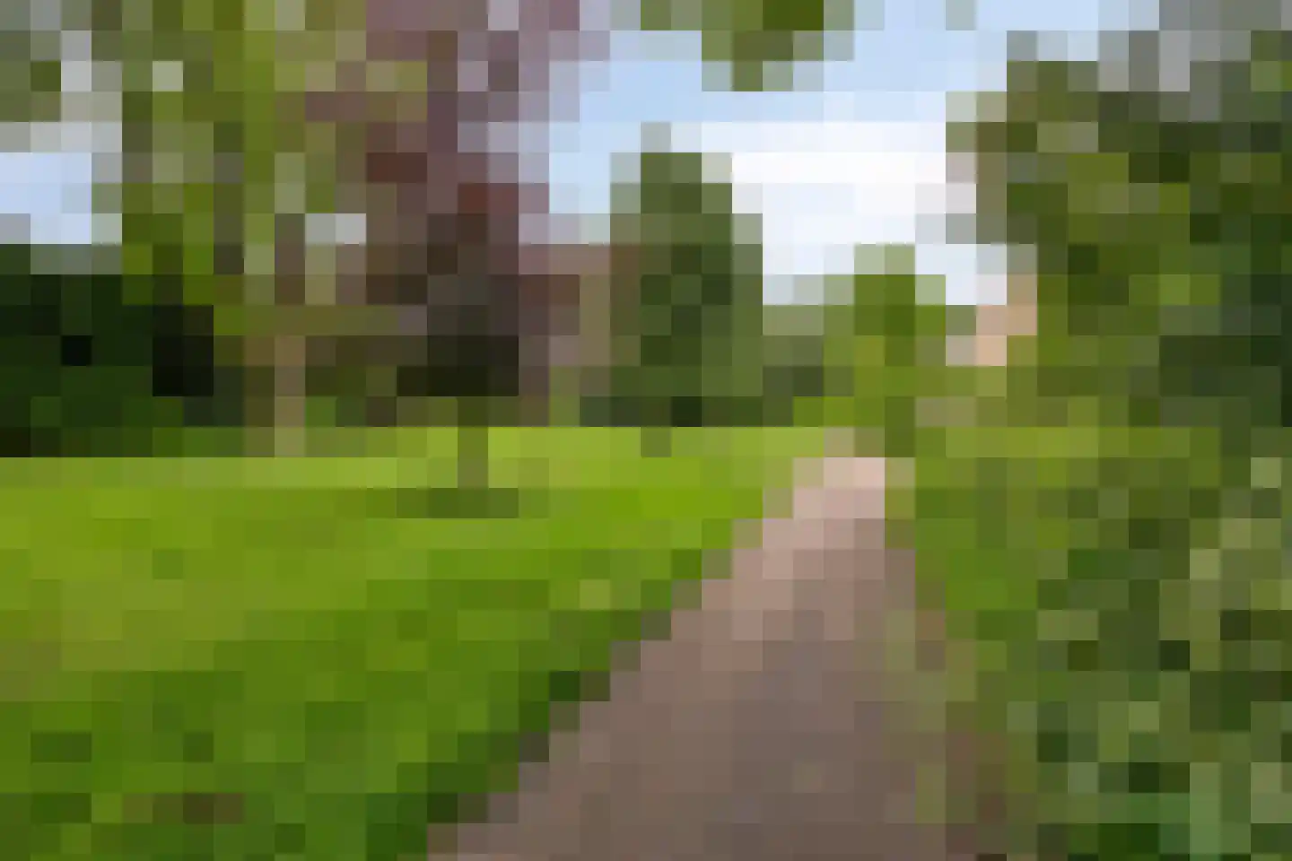 Berghemseweg 220 Oss thumbnail 28