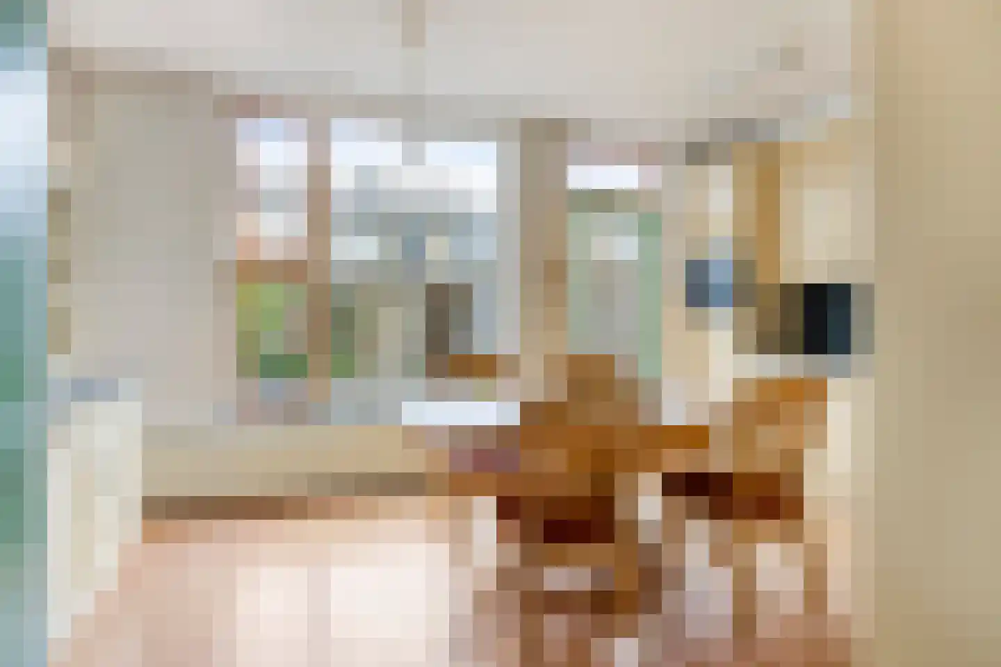 Berghemseweg 220 Oss thumbnail 9