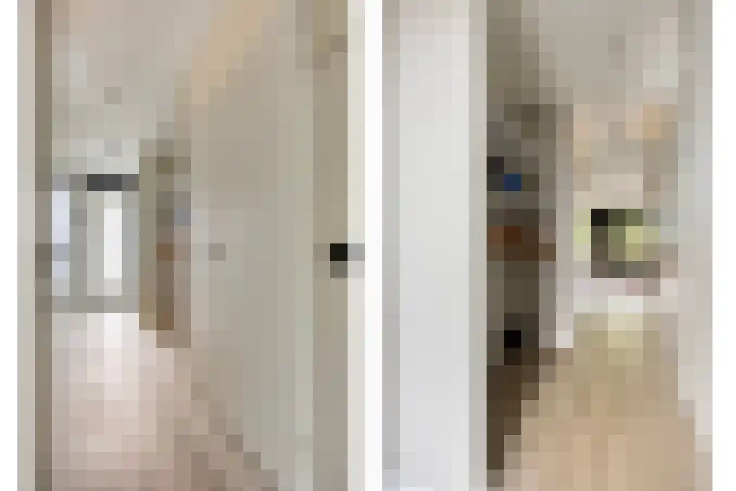 Berghemseweg 225 F Oss thumbnail 10