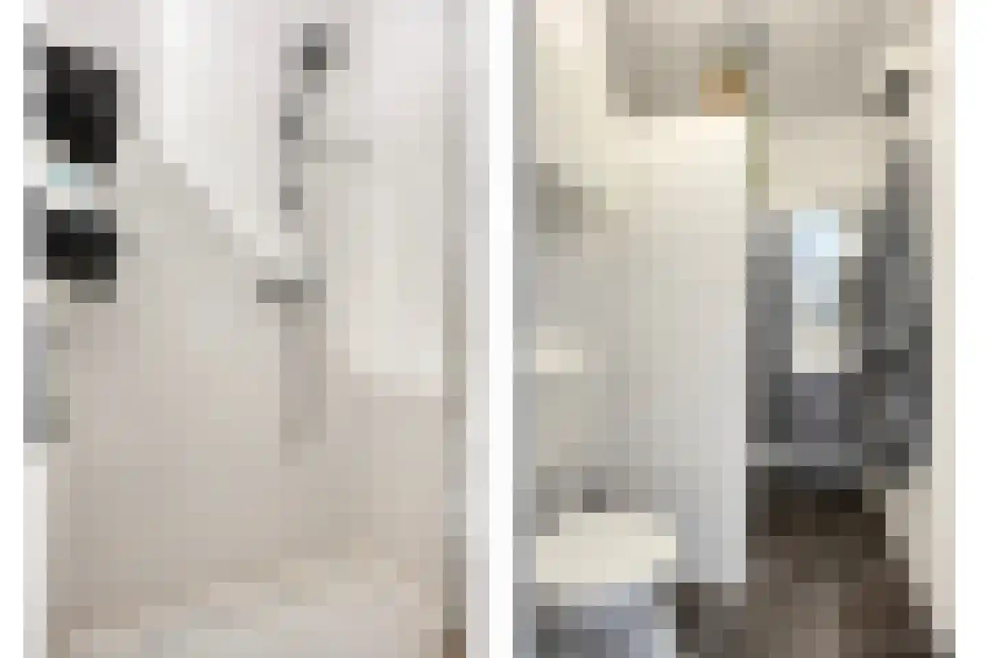 Berghemseweg 225 F Oss thumbnail 11