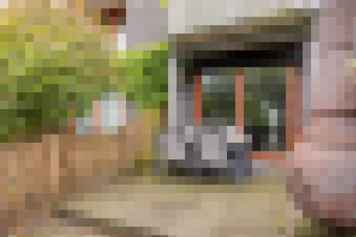 Berghemseweg 225 F Oss thumbnail 13