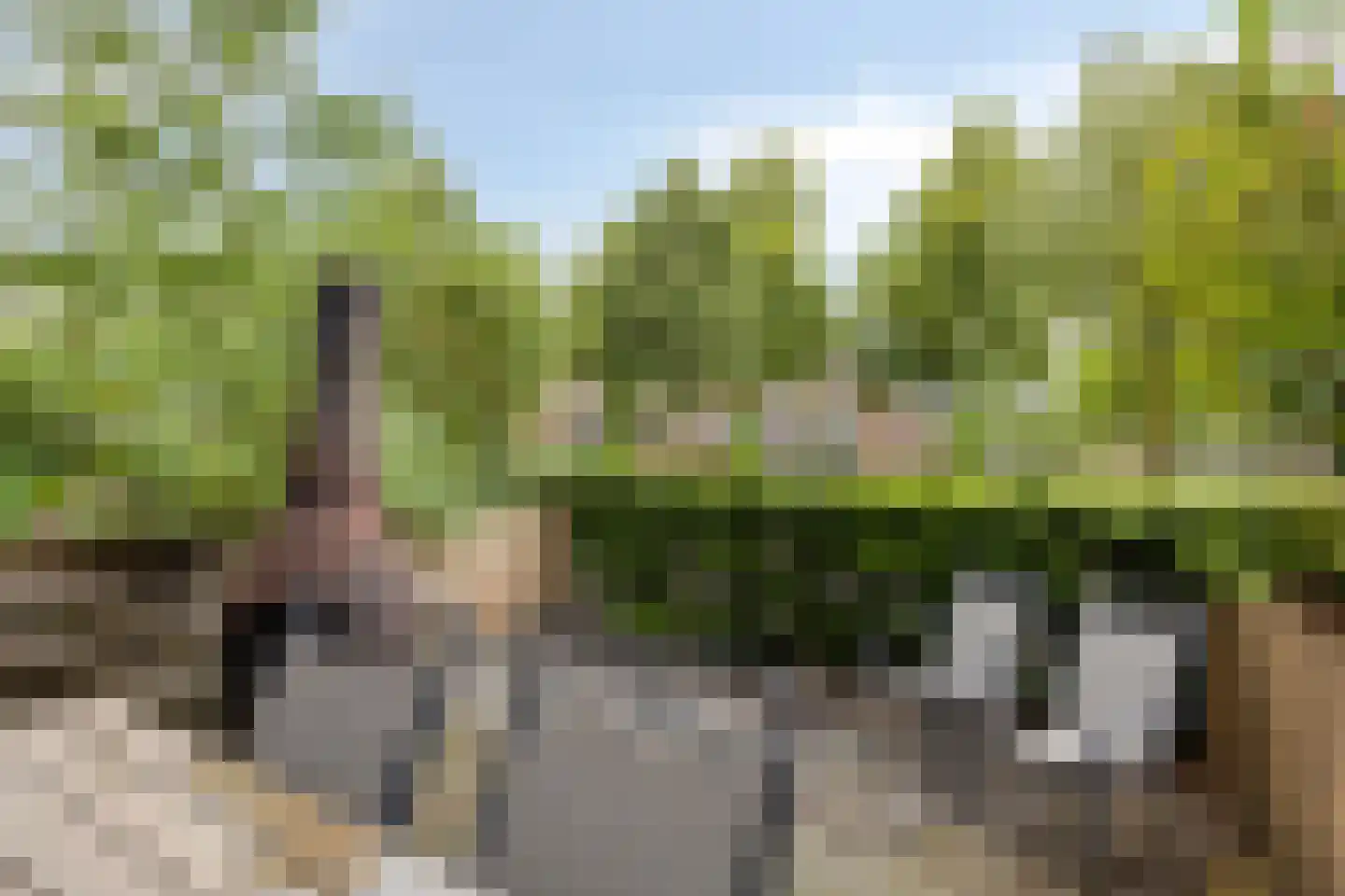 Berghemseweg 225 F Oss thumbnail 14