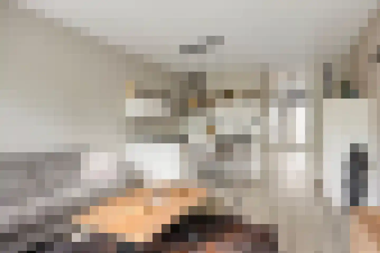 Berghemseweg 225 F Oss thumbnail 7