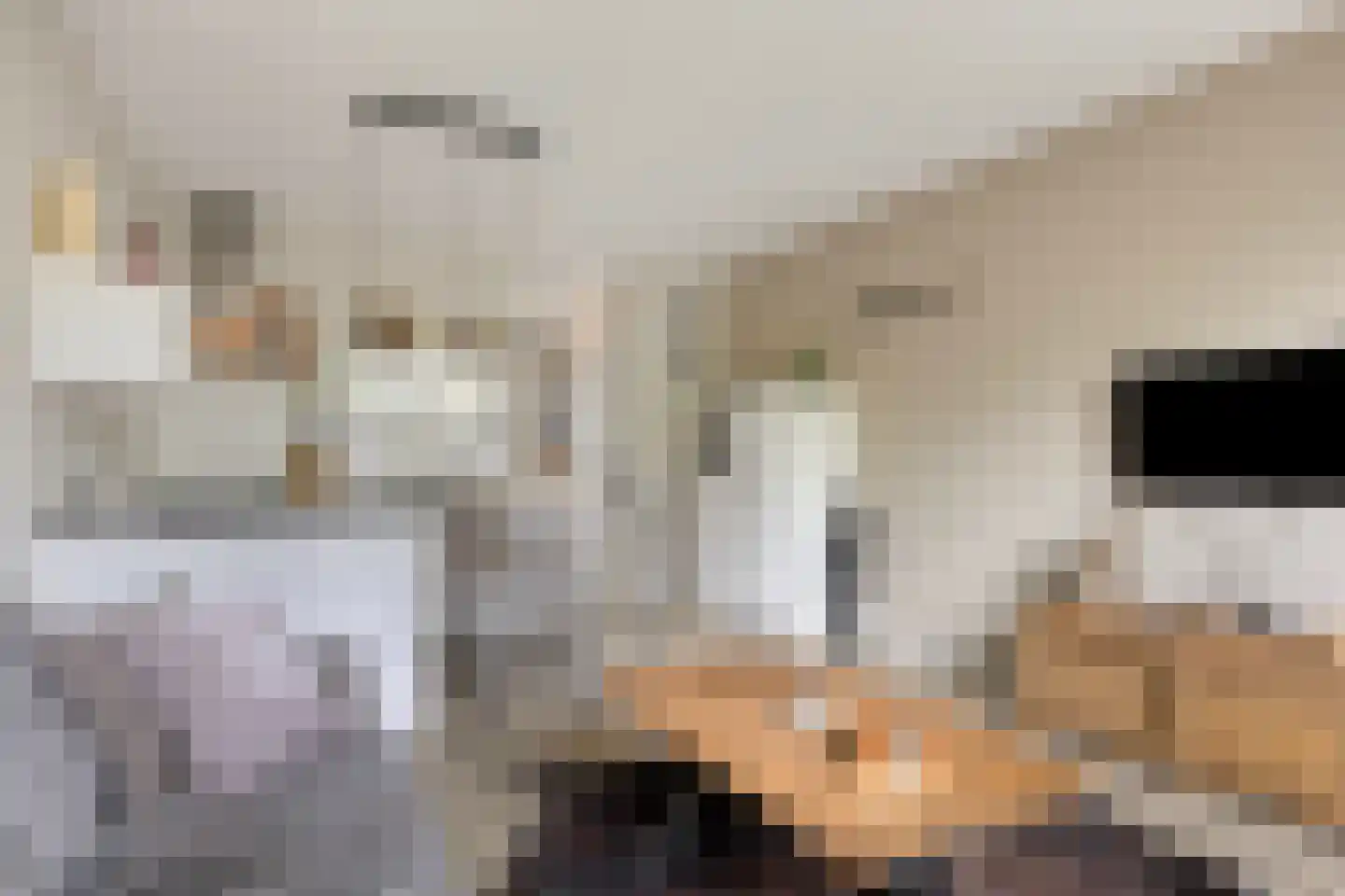 Berghemseweg 225 F Oss thumbnail 8
