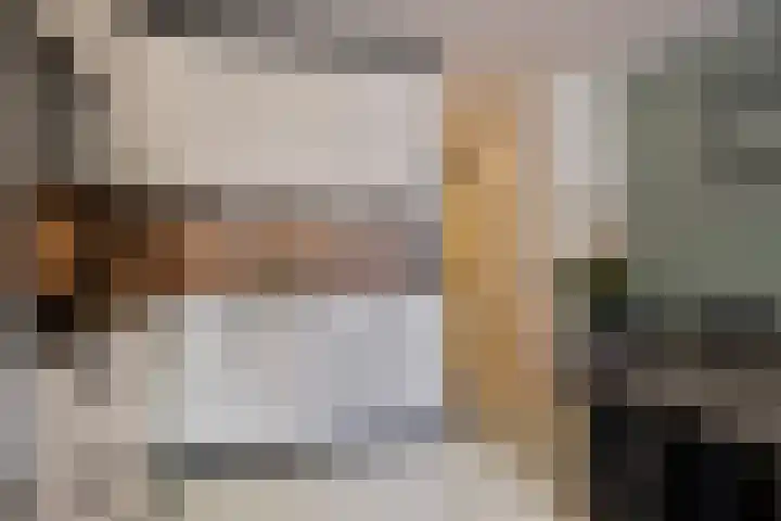 Berghemseweg 225 Oss thumbnail 11