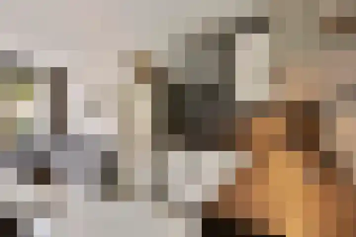 Berghemseweg 225 Oss thumbnail 12