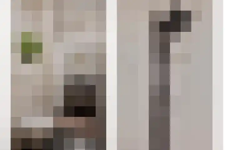 Berghemseweg 225 Oss thumbnail 13
