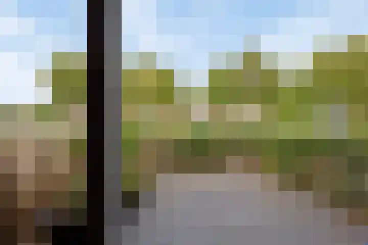 Berghemseweg 225 Oss thumbnail 29