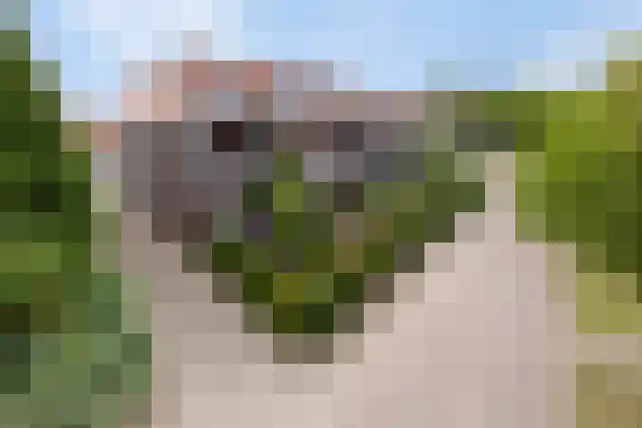 Berghemseweg 225 Oss thumbnail 30