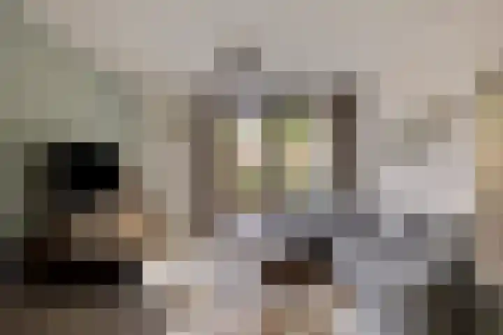 Berghemseweg 225 Oss thumbnail 4