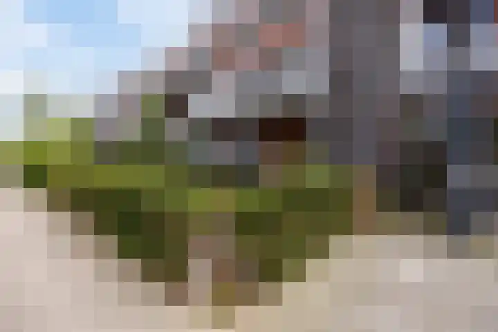 Berghemseweg 225 Oss thumbnail 40