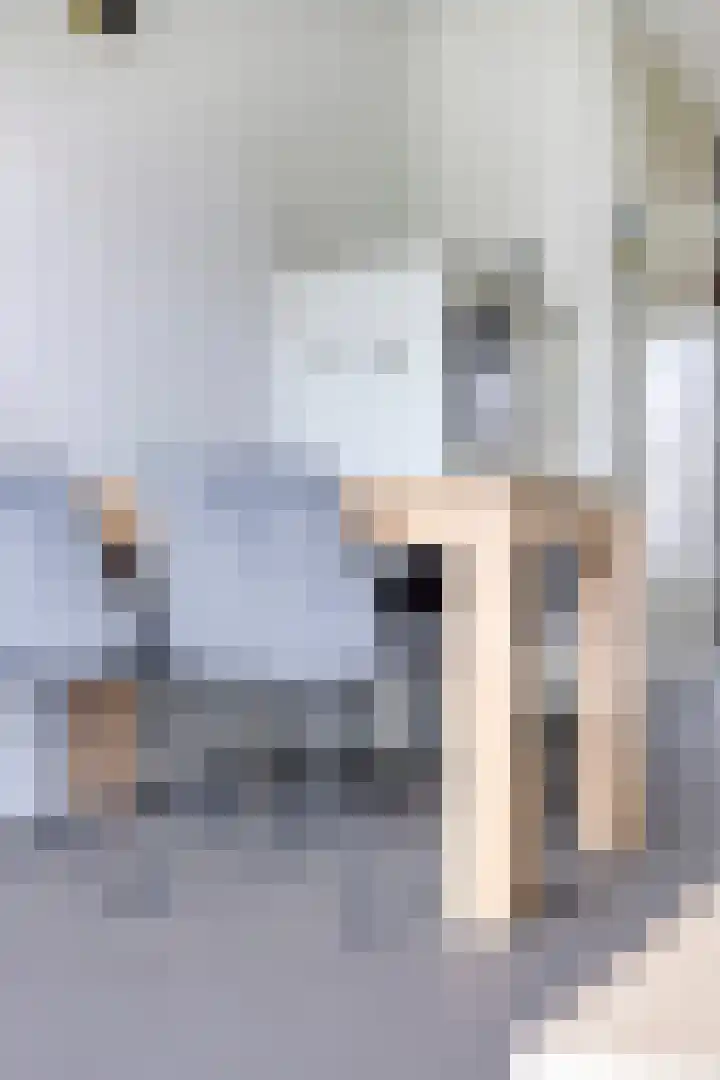Berghemseweg 227 D Oss thumbnail 7