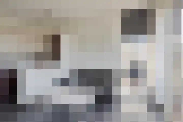 Berghemseweg 227 Oss thumbnail 4