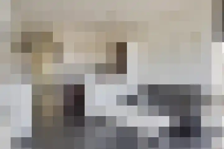 Berghemseweg 227 Oss thumbnail 5