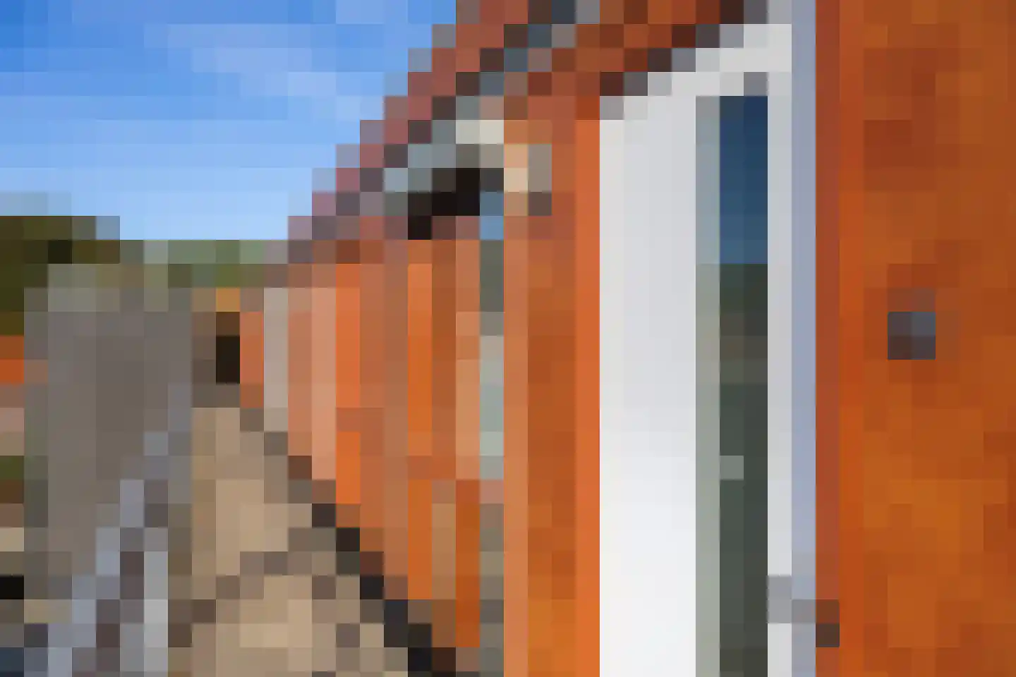 Berghemseweg 229 F Oss thumbnail 22