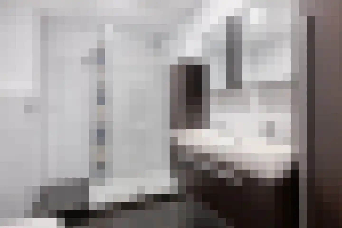 Berghemseweg 236 Oss thumbnail 13
