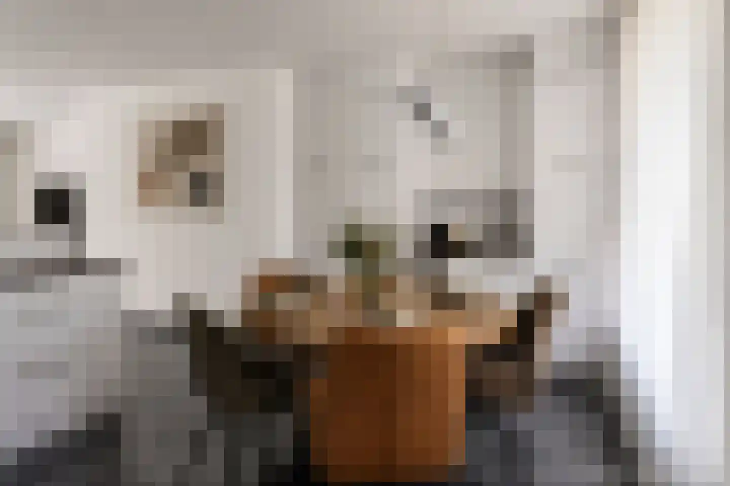Berghemseweg 236 Oss thumbnail 4