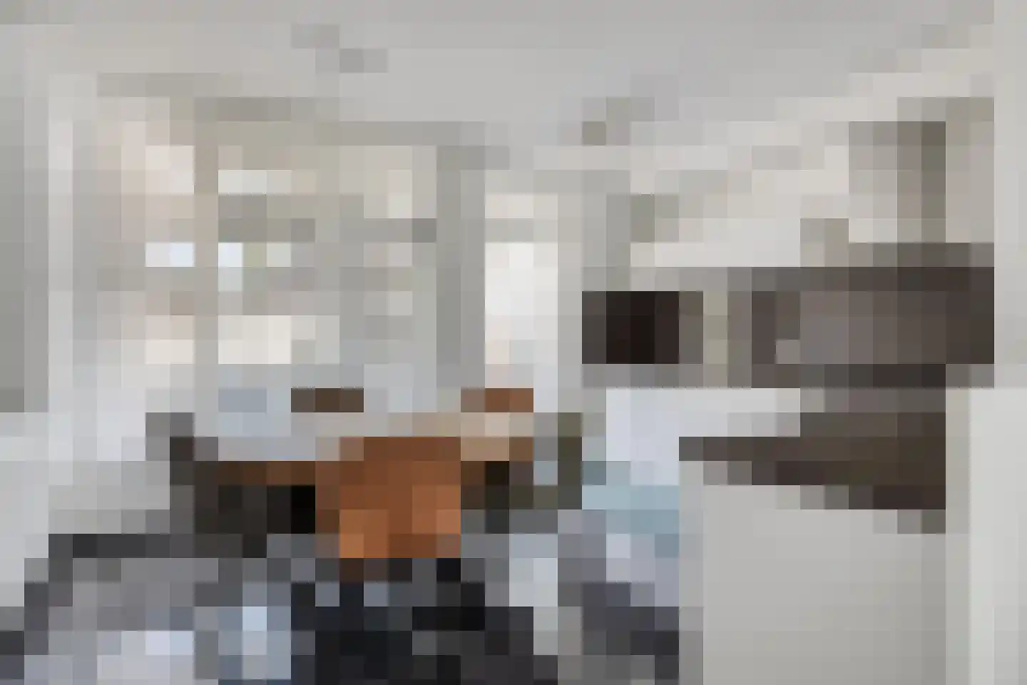 Berghemseweg 236 Oss thumbnail 5