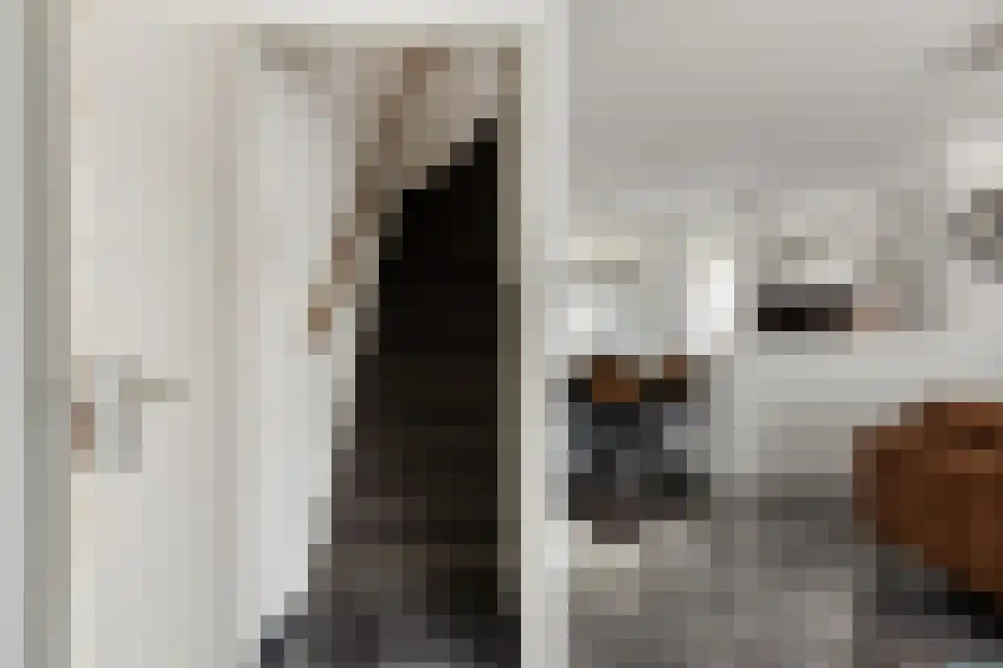 Berghemseweg 236 Oss thumbnail 9