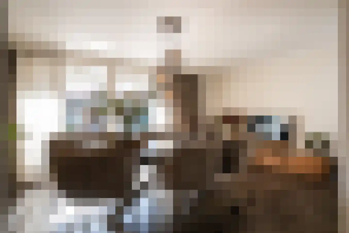 Berghemseweg 237 Oss thumbnail 12