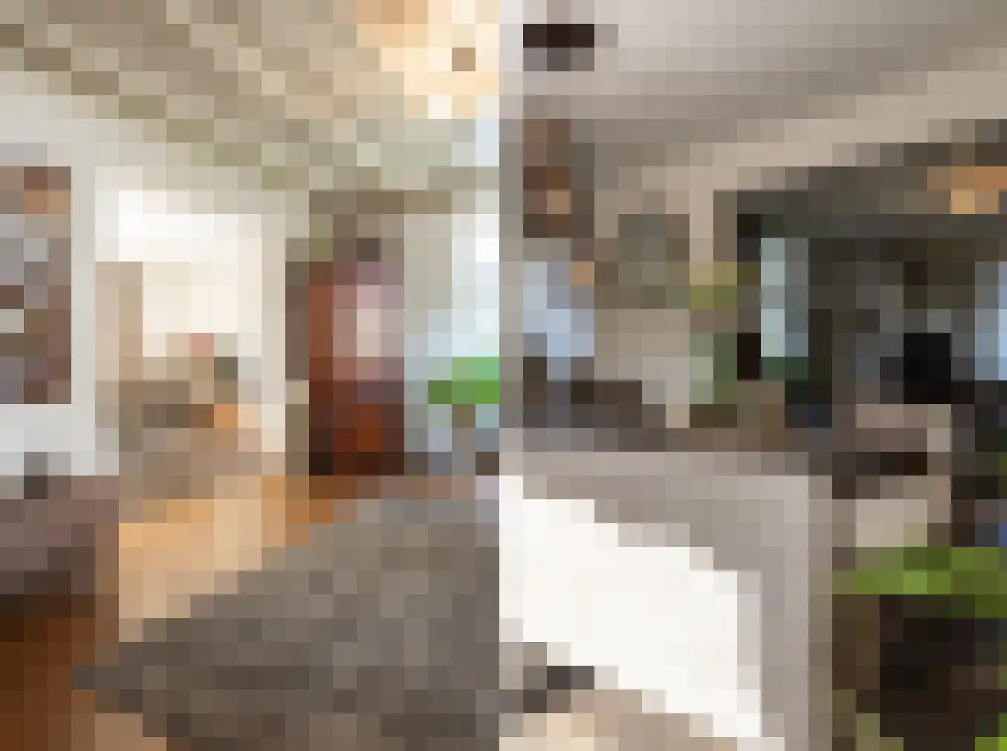 Berghemseweg 237 Oss thumbnail 14