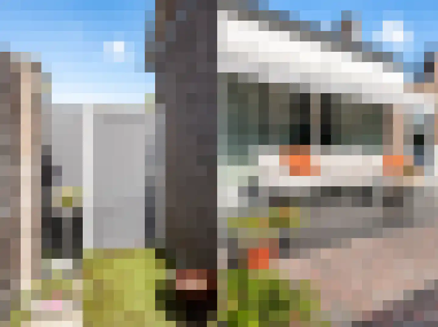 Berghemseweg 237 Oss thumbnail 25