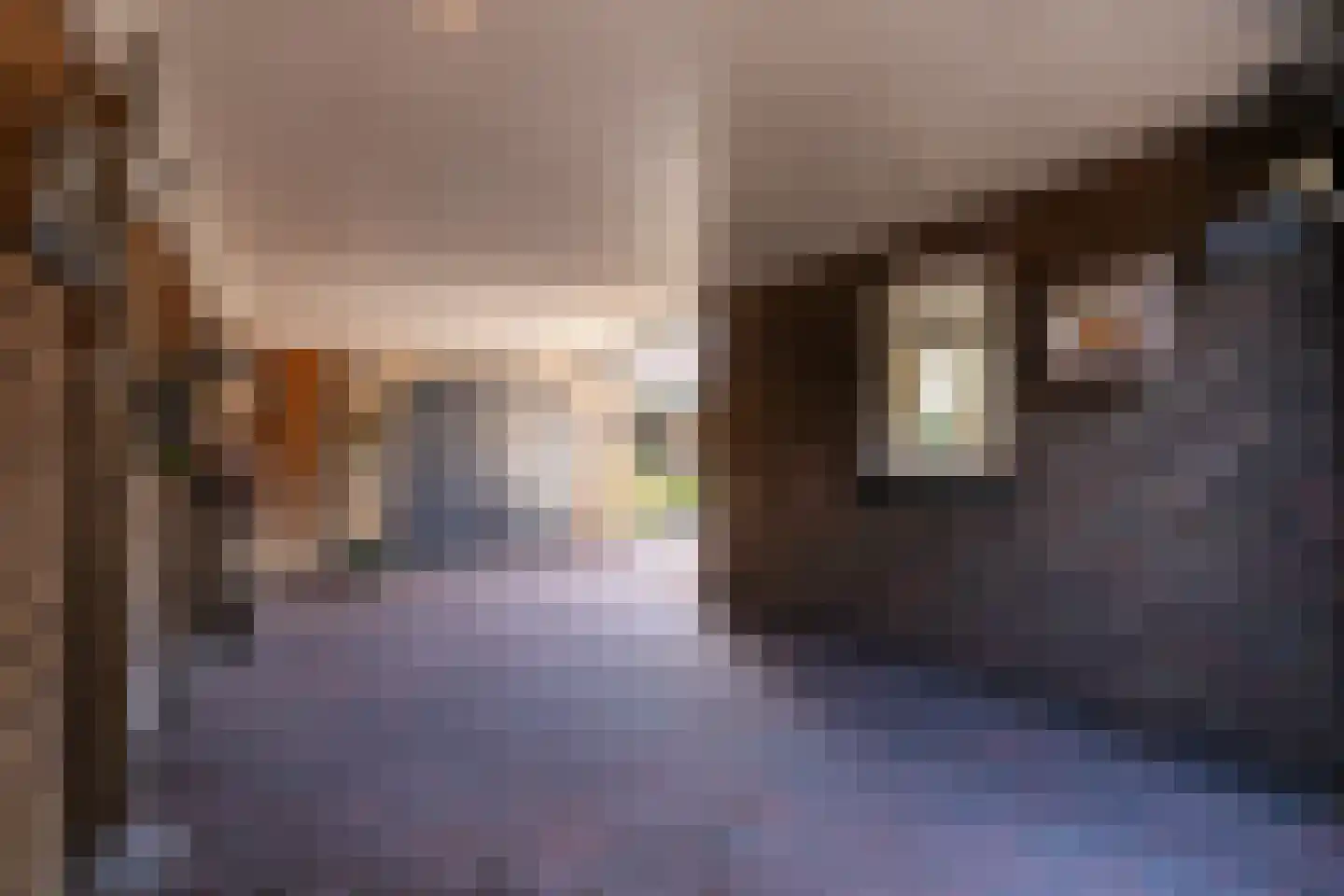 Berghemseweg 237 Oss thumbnail 30