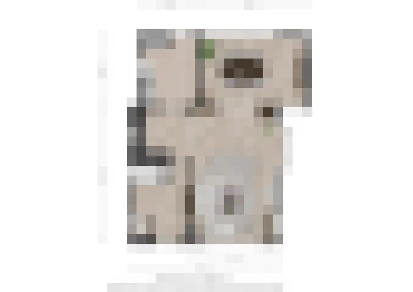 Berghemseweg 237 Oss thumbnail 37