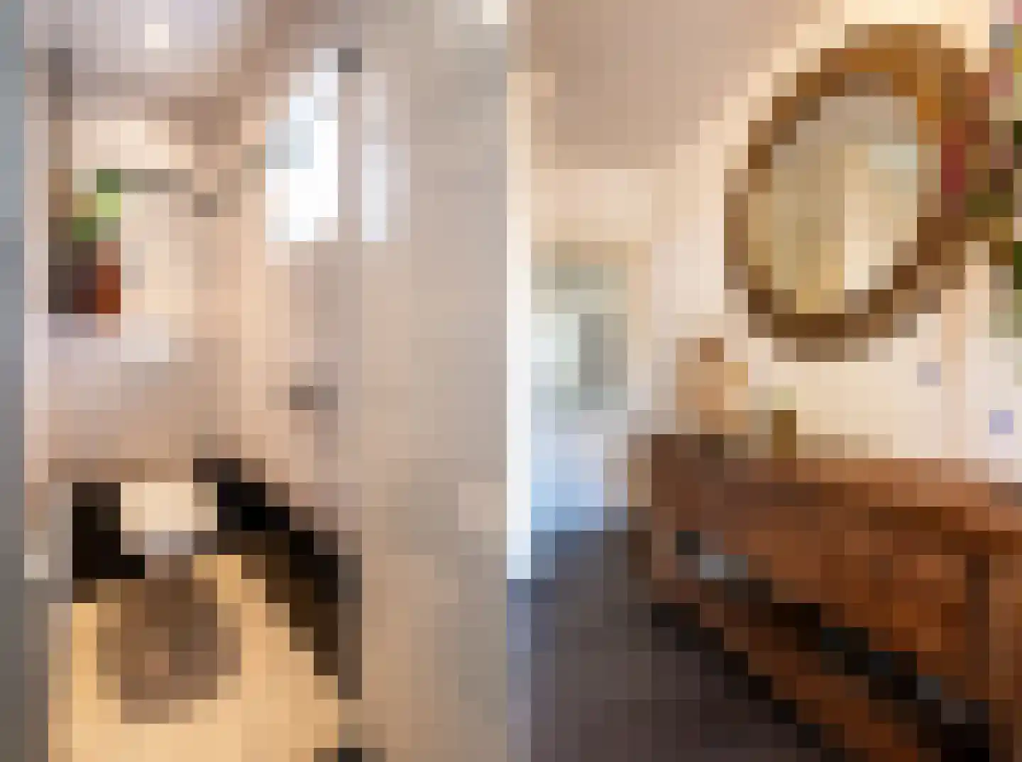 Berghemseweg 237 Oss thumbnail 7