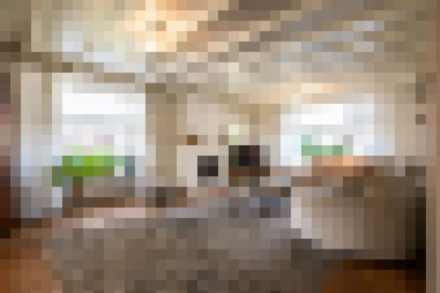 Berghemseweg 237 Oss thumbnail 8