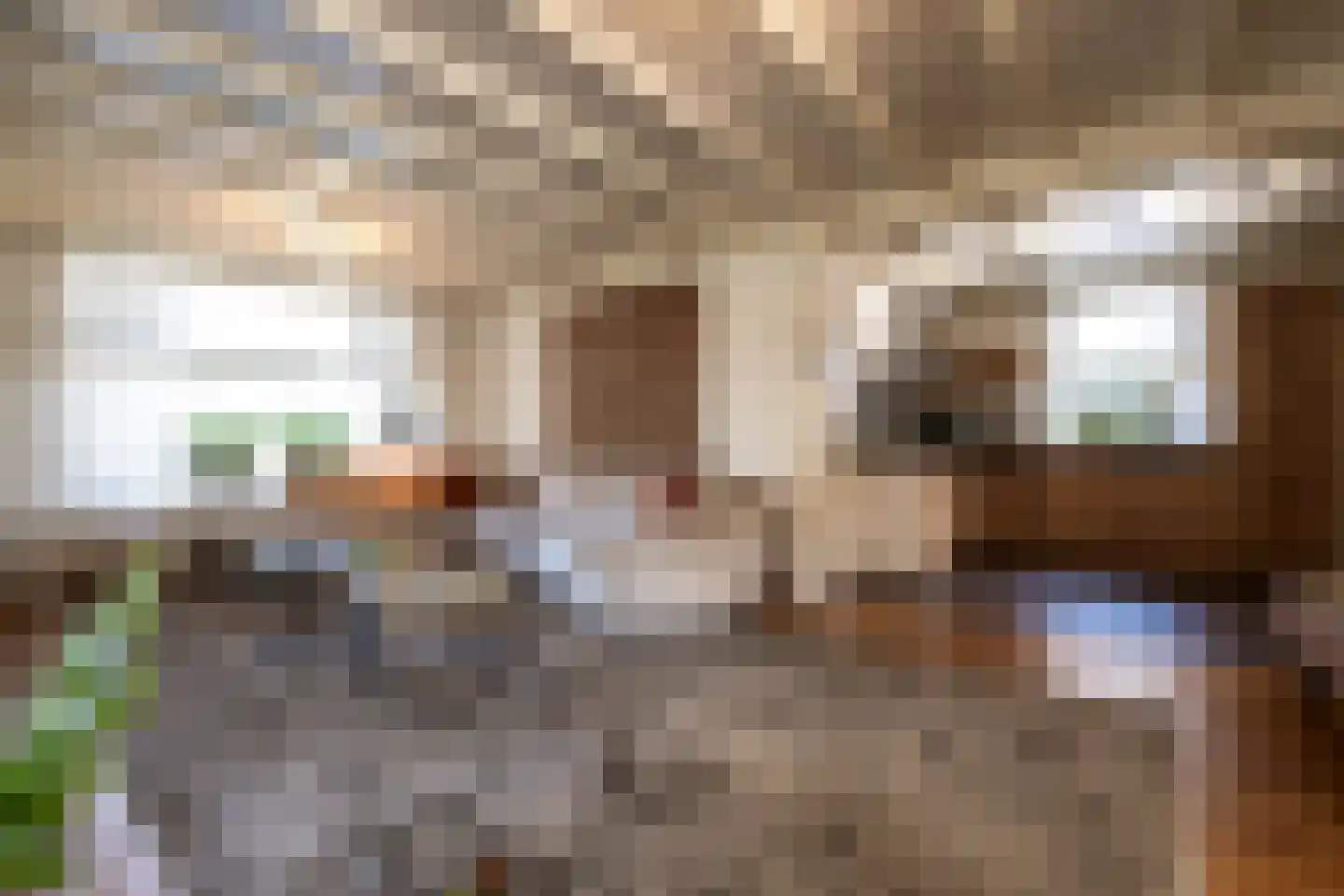 Berghemseweg 237 Oss thumbnail 9
