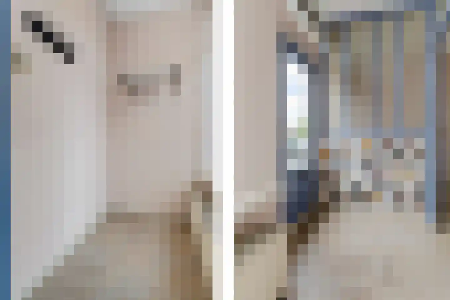 Berghemseweg 24 Oss thumbnail 5