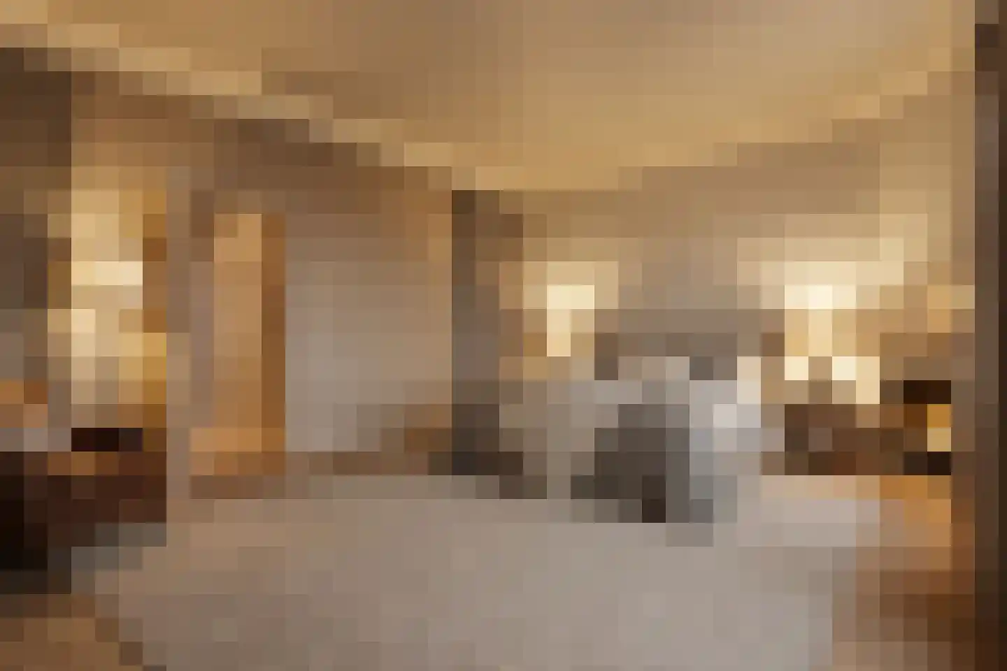Berghemseweg 24 Oss thumbnail 9