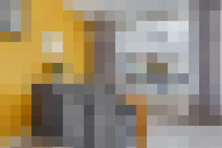 Berghemseweg 240 Oss thumbnail 10