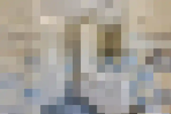 Berghemseweg 240 Oss thumbnail 14