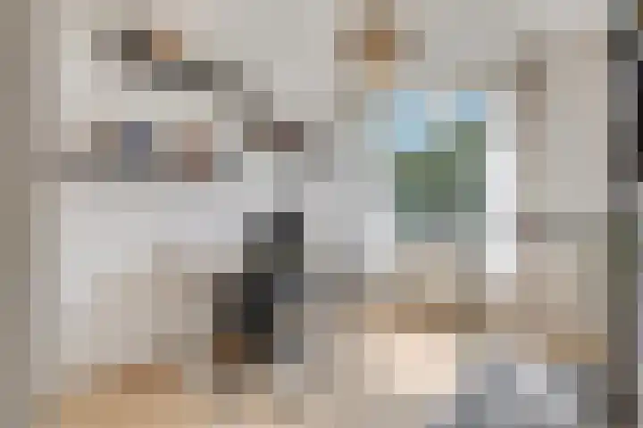 Berghemseweg 240 Oss thumbnail 16