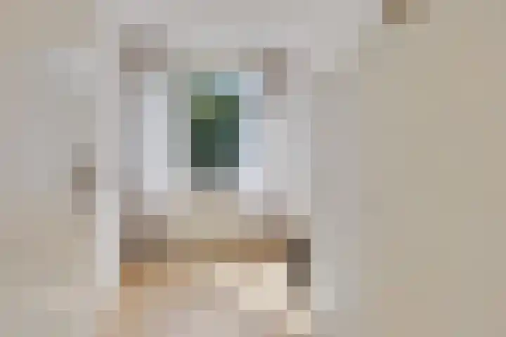 Berghemseweg 240 Oss thumbnail 18