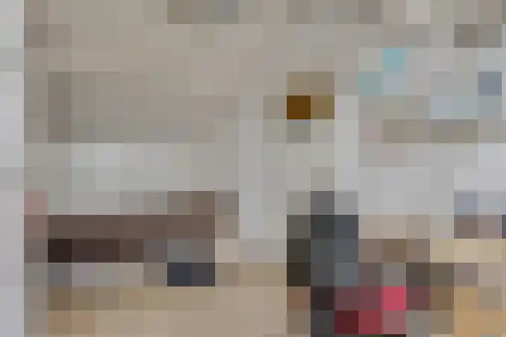 Berghemseweg 240 Oss thumbnail 20