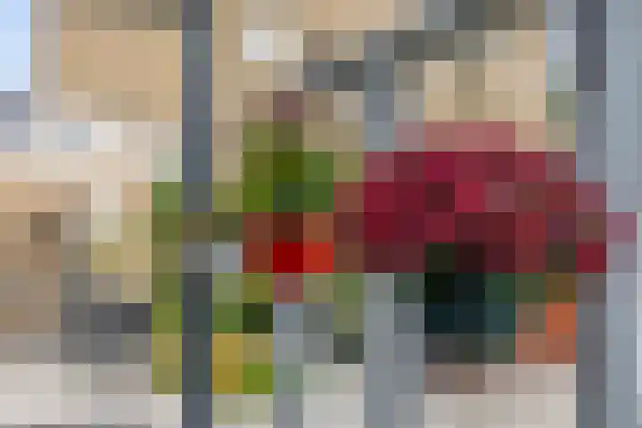 Berghemseweg 240 Oss thumbnail 22