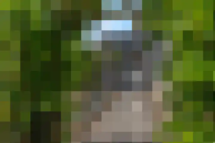 Berghemseweg 240 Oss thumbnail 25