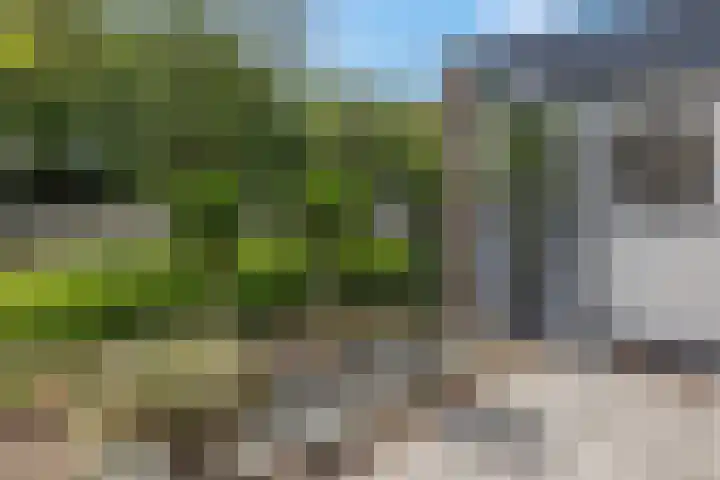Berghemseweg 240 Oss thumbnail 27