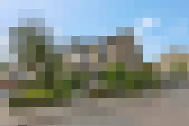 Berghemseweg 240 Oss thumbnail 29