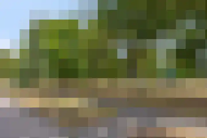 Berghemseweg 240 Oss thumbnail 30