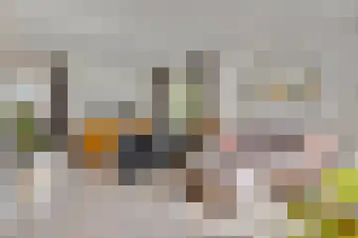 Berghemseweg 240 Oss thumbnail 4