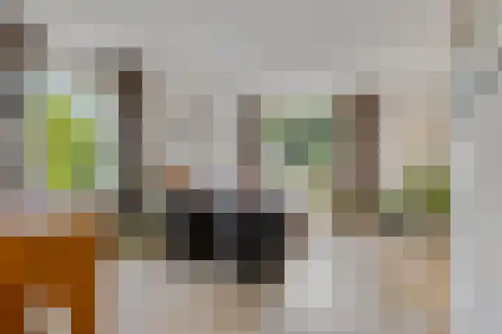 Berghemseweg 240 Oss thumbnail 7
