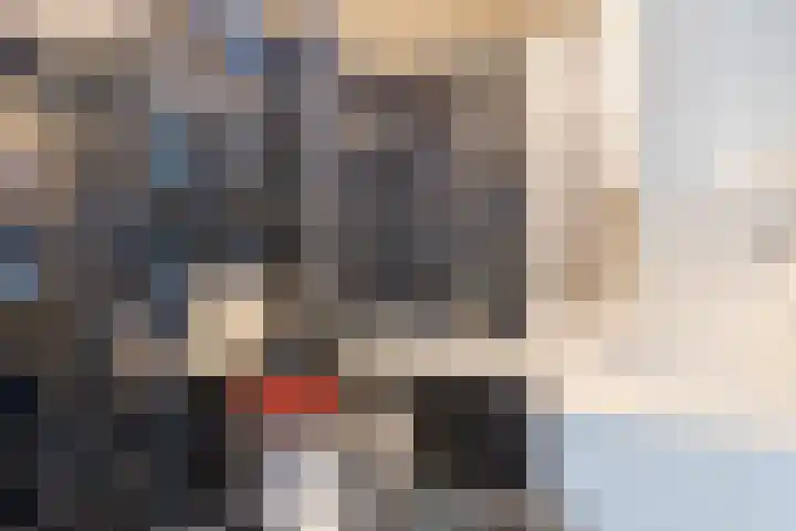 Berghemseweg 249 Oss thumbnail 18