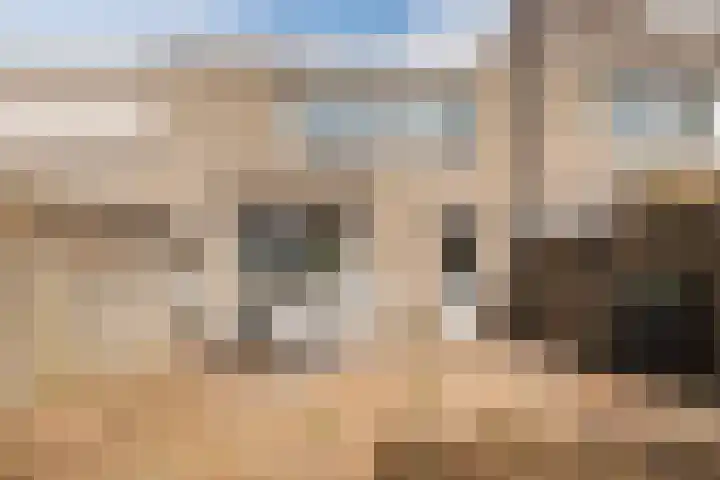 Berghemseweg 249 Oss thumbnail 21