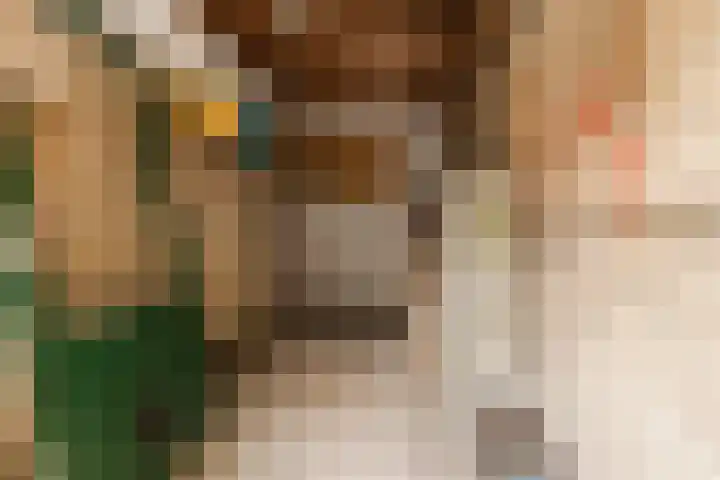 Berghemseweg 249 Oss thumbnail 23